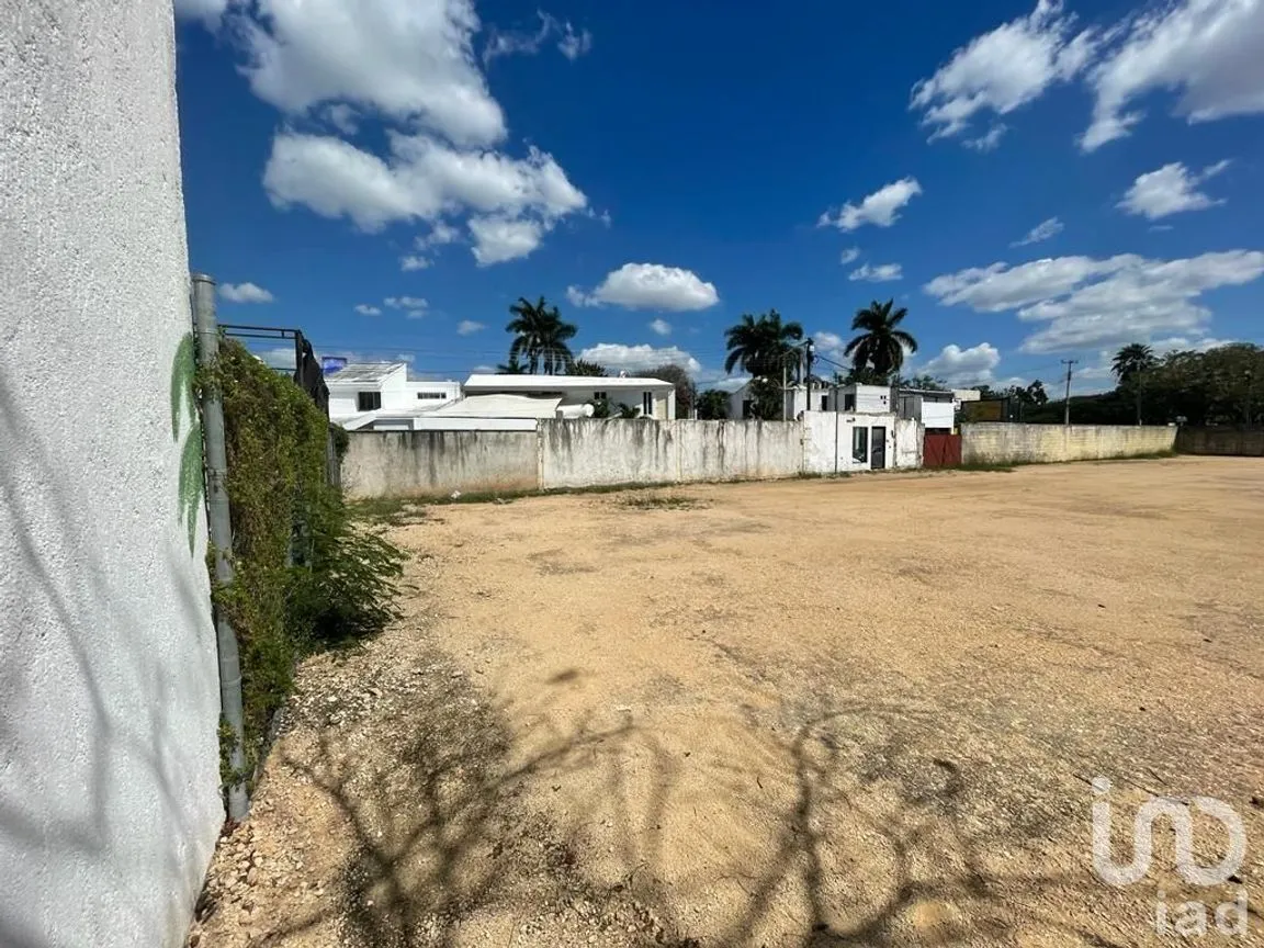 Terreno en Renta en Benito Juárez Nte, Mérida, Yucatán | NEX-228685 | iad México | Foto 3 de 7