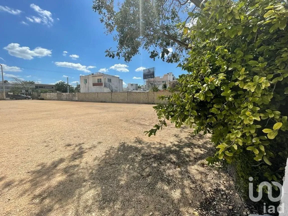 Terreno en Renta en Benito Juárez Nte, Mérida, Yucatán | NEX-228685 | iad México | Foto 4 de 7