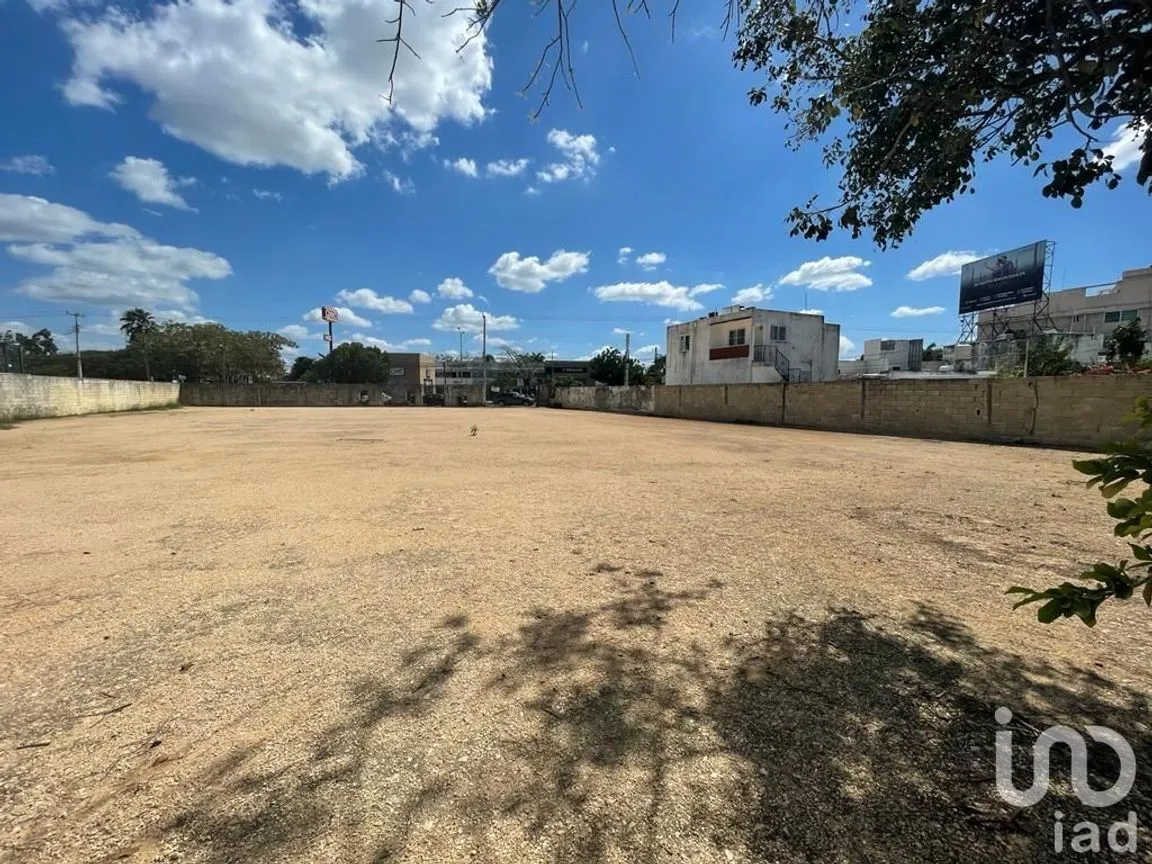 Terreno en Renta en Benito Juárez Nte, Mérida, Yucatán | NEX-228685 | iad México | Foto 5 de 7