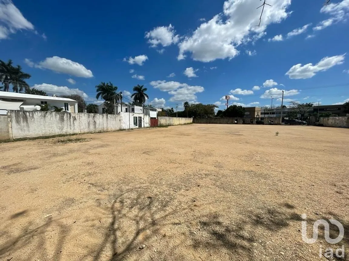 Terreno en Renta en Benito Juárez Nte, Mérida, Yucatán | NEX-228685 | iad México | Foto 6 de 7