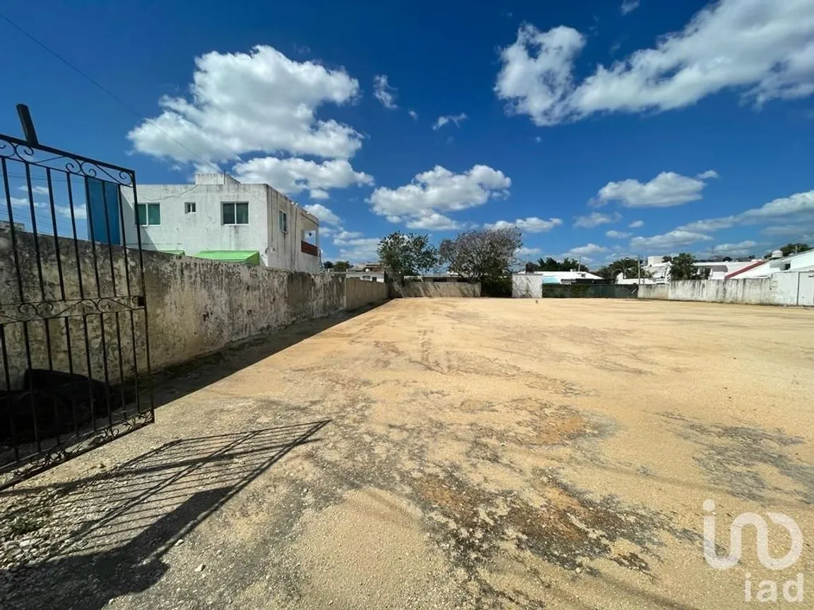 Terreno en Renta en Benito Juárez Nte, Mérida, Yucatán | NEX-228685 | iad México | Foto 7 de 7