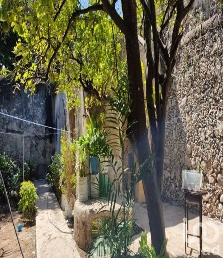 Casa en Venta en Mérida Centro, Mérida, Yucatán | NEX-228699 | iad México | Foto 10 de 14