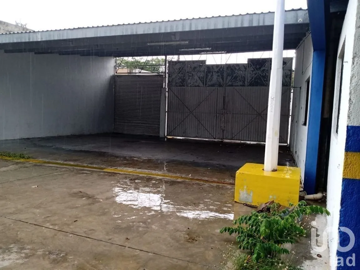 Local en Renta en México Norte, Mérida, Yucatán | NEX-228711 | iad México | Foto 2 de 5