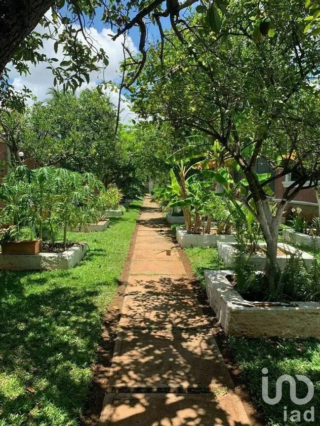 Casa en Venta en Benito Juárez Nte, Mérida, Yucatán | NEX-228714 | iad México | Foto 17 de 20