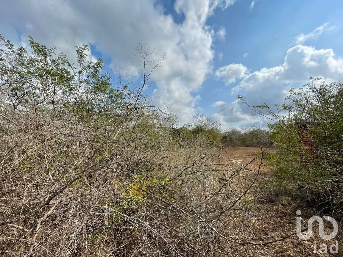 Terreno en Venta en Centro Umán, Umán, Yucatán | NEX-228719 | iad México | Foto 12 de 14
