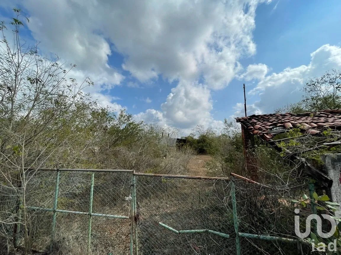Terreno en Venta en Centro Umán, Umán, Yucatán | NEX-228719 | iad México | Foto 3 de 14