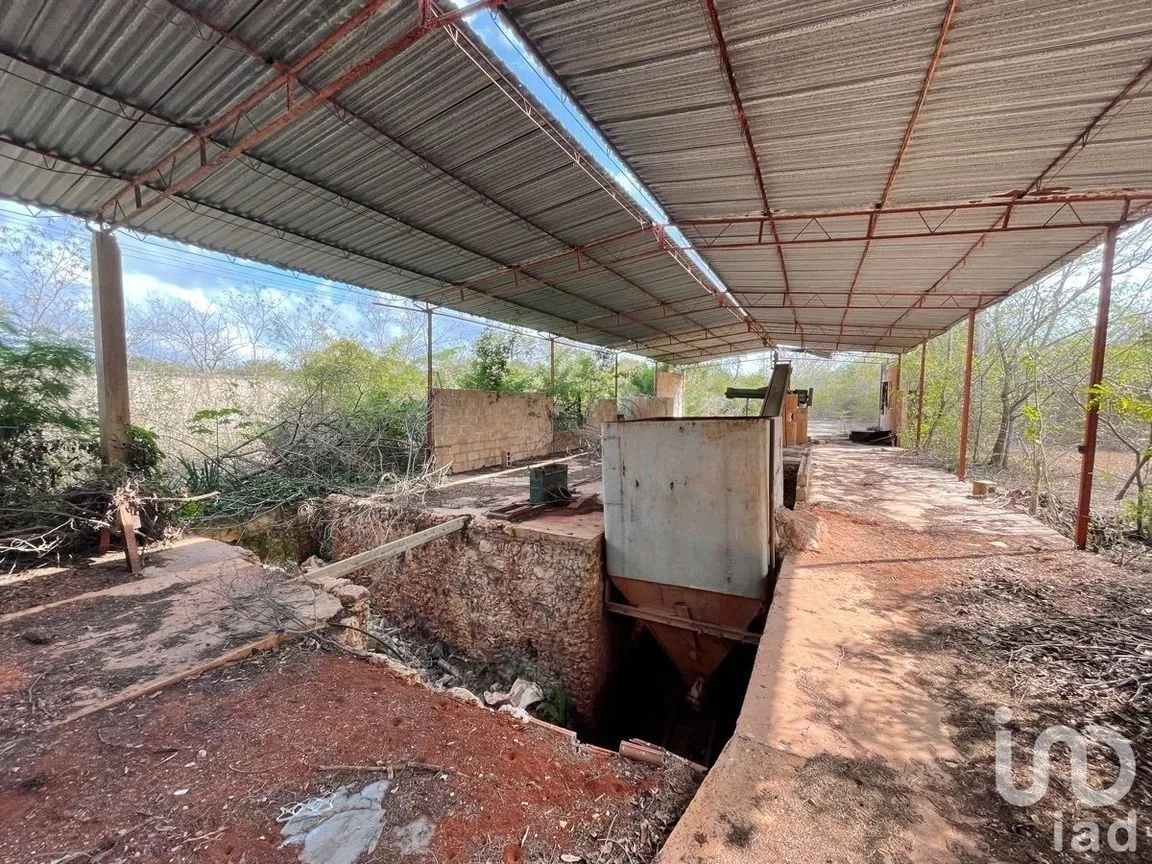 Terreno en Venta en Centro Umán, Umán, Yucatán | NEX-228719 | iad México | Foto 8 de 14