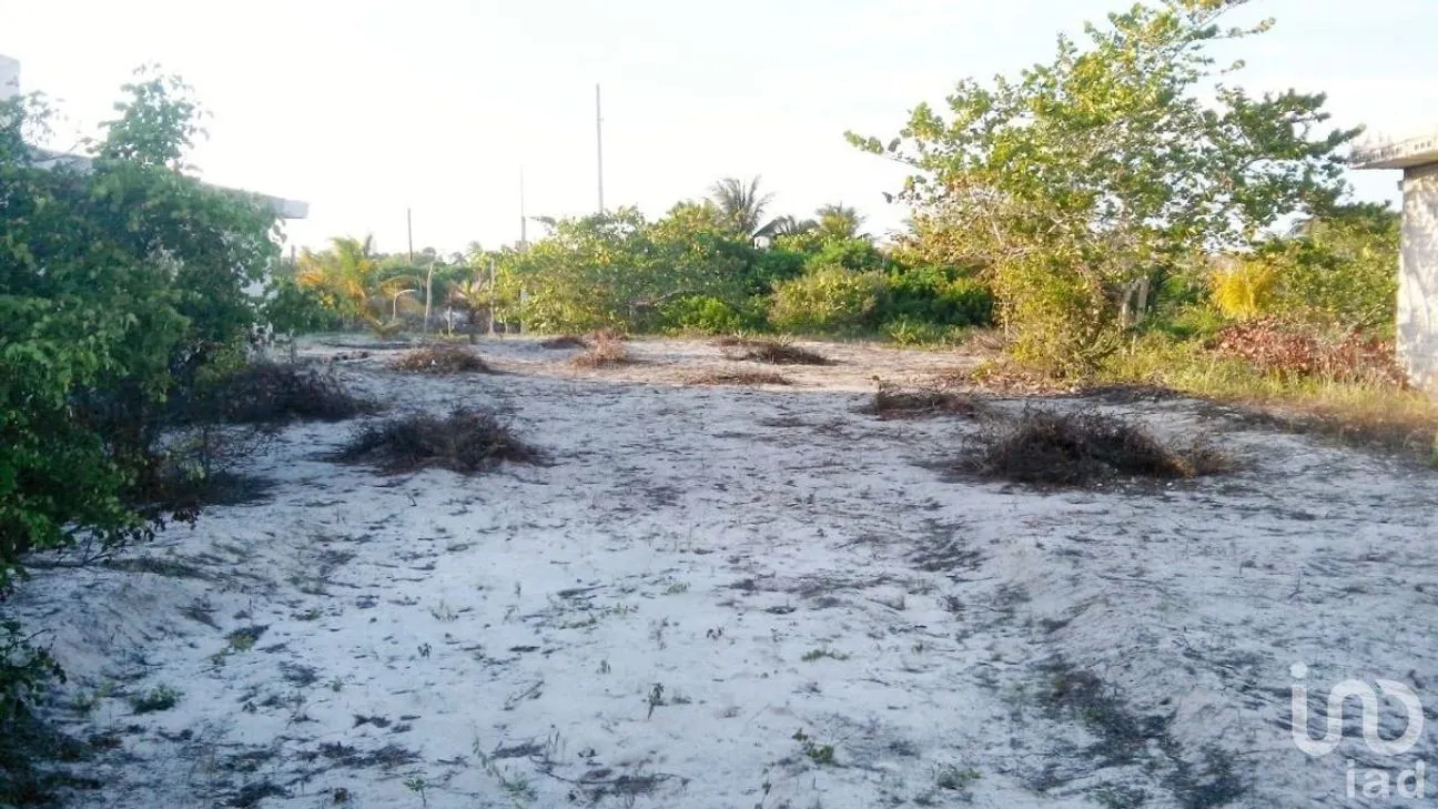 Terreno en Venta en Chuburna Puerto, Progreso, Yucatán | NEX-228725 | iad México | Foto 3 de 5