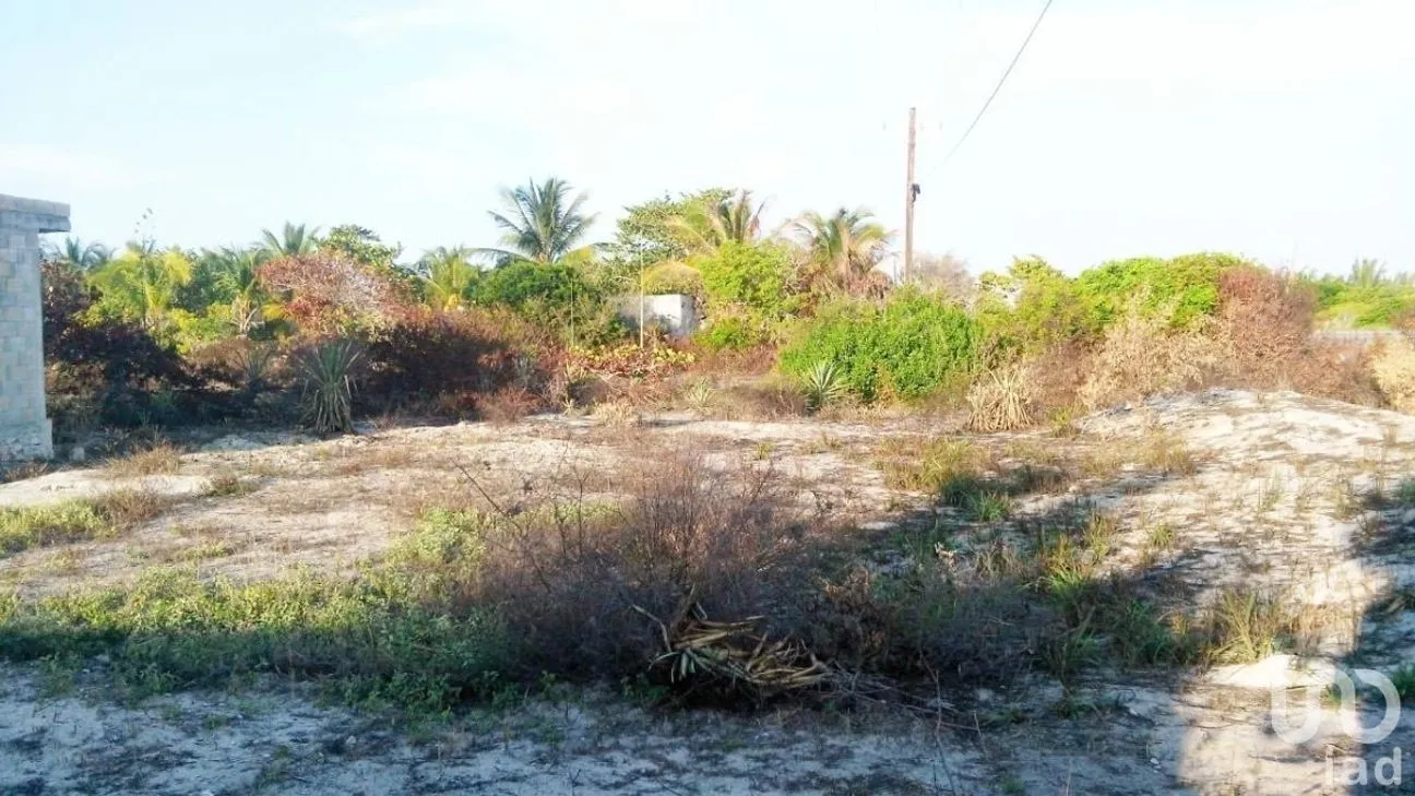 Terreno en Venta en Chuburna Puerto, Progreso, Yucatán | NEX-228725 | iad México | Foto 5 de 5