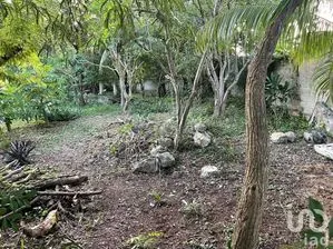 NEX-228731 - Terreno en Venta en San Ramon Norte, CP 97117, Yucatán.