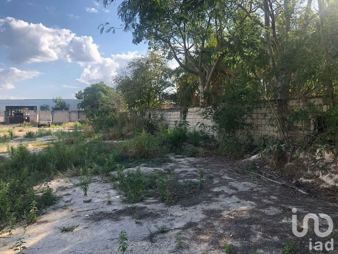 Terreno en Renta en Santa Maria, Mérida, Yucatán | NEX-228741 | iad México | Foto 2 de 5