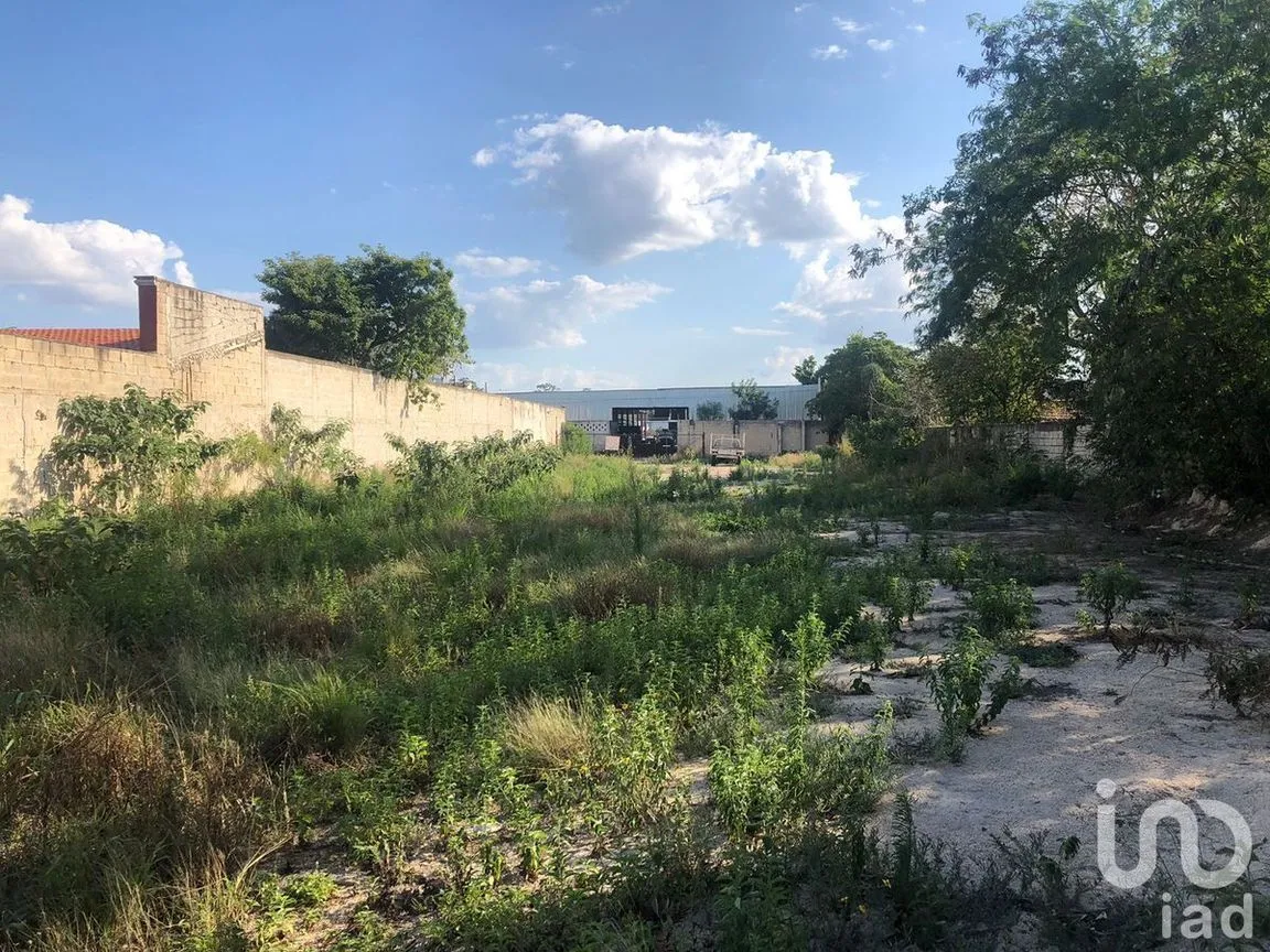 Terreno en Renta en Santa Maria, Mérida, Yucatán | NEX-228741 | iad México | Foto 4 de 5