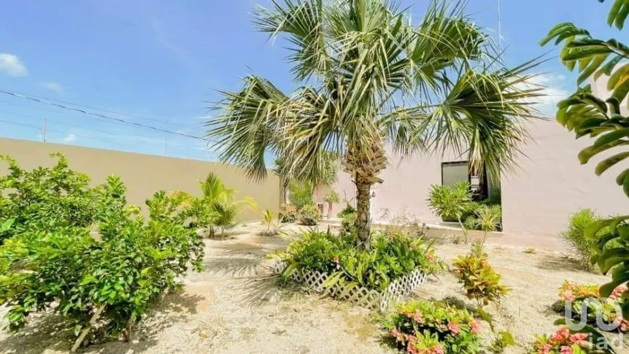 Casa en Renta en Sitpach, Mérida, Yucatán | NEX-228745 | iad México | Foto 7 de 15