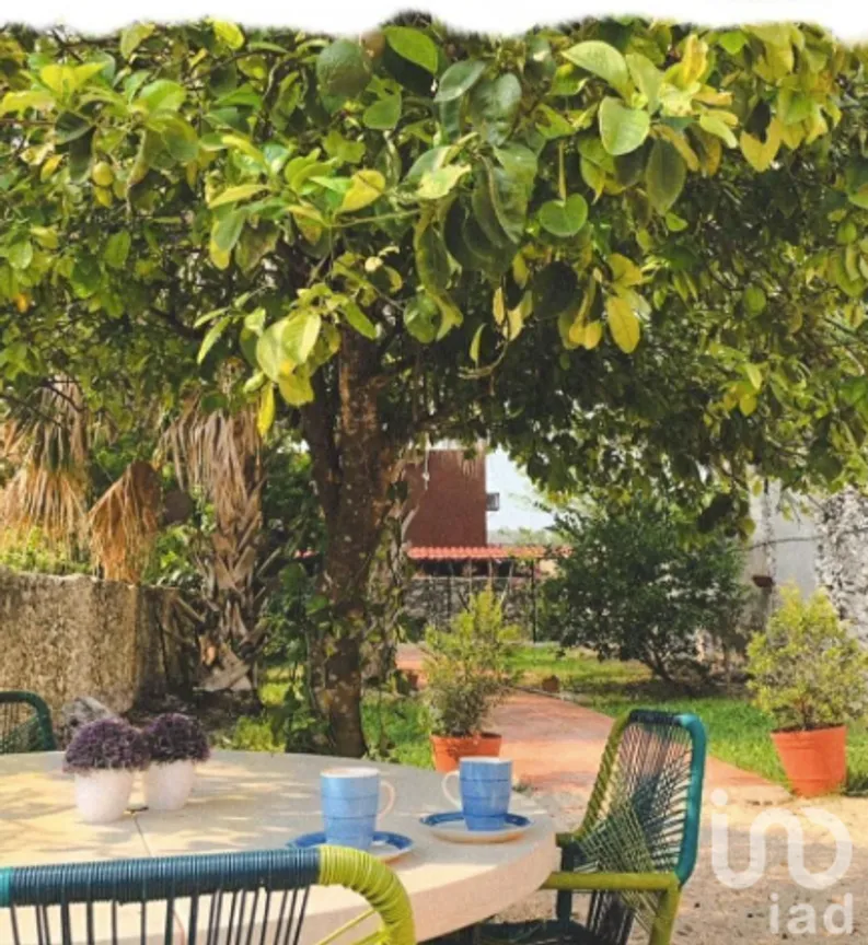 Casa en Renta en Mérida Centro, Mérida, Yucatán | NEX-228753 | iad México | Foto 7 de 11