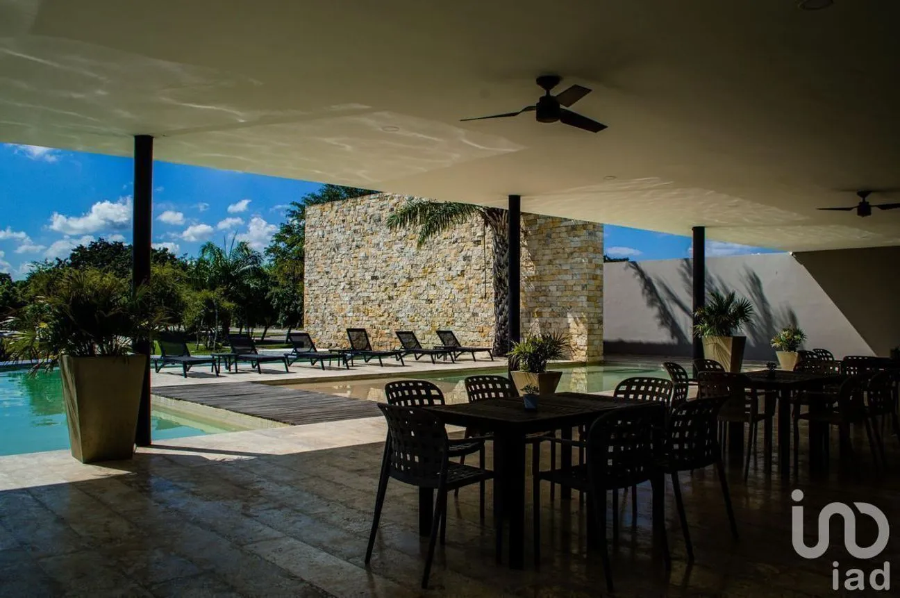 Terreno en Venta en Dzidzilché, Mérida, Yucatán | NEX-226820 | iad México | Foto 14 de 22