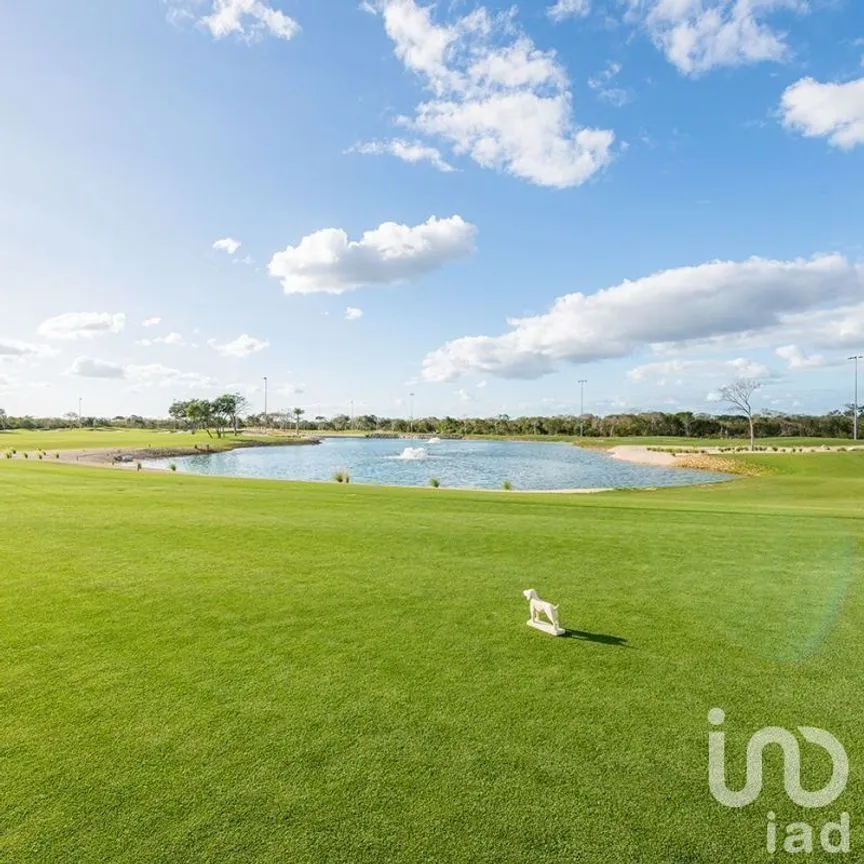 Terreno en Venta en Tamanché, Mérida, Yucatán | NEX-228988 | iad México | Foto 2 de 17