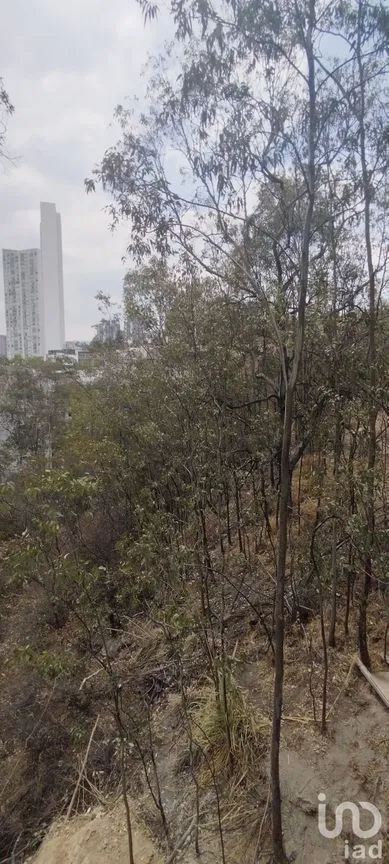 Terreno en Venta en Bosque Real, Huixquilucan, Estado De México | NEX-232137 | iad México | Foto 3 de 3