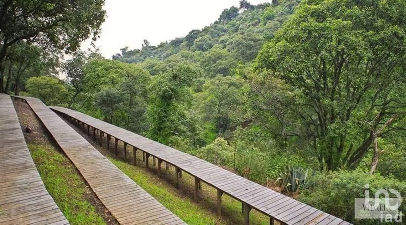 Departamento en Venta en Bosques de las Lomas, Cuajimalpa de Morelos, Ciudad de México | NEX-268154 | iad México | Foto 10 de 11