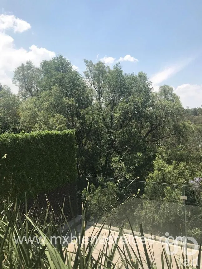 Casa en Venta en Lomas de Tecamachalco, Naucalpan de Juárez, Estado de México | NEX-269588 | iad México | Foto 5 de 13