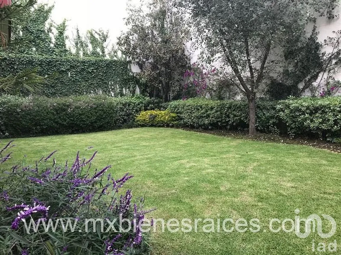 Casa en Venta en Bosque de las Lomas, Miguel Hidalgo, Ciudad de México | NEX-287904 | iad México | Foto 11 de 11