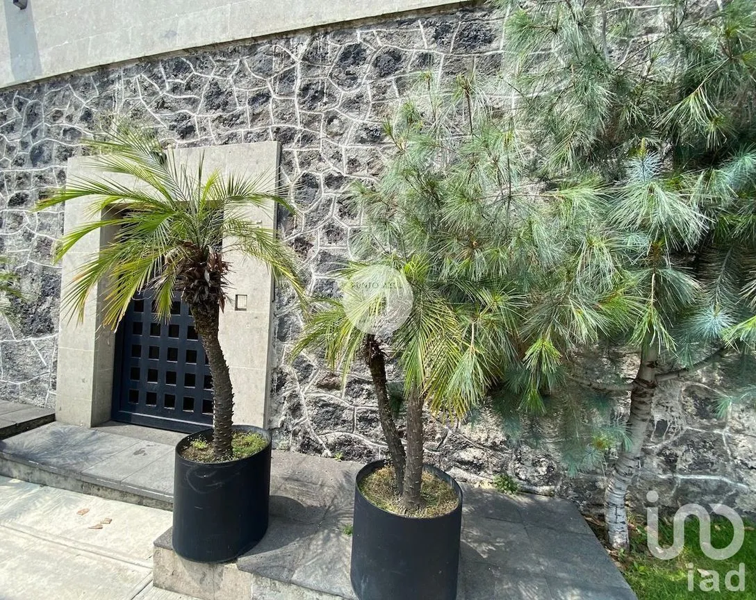 Casa en Venta en Jardines del Pedregal, Álvaro Obregón, Ciudad de México | NEX-201819 | iad México | Foto 2 de 50