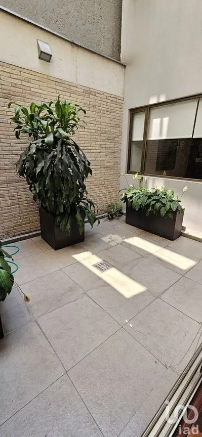Departamento en Venta en Del Valle Norte, Benito Juárez, Ciudad de México | NEX-230966 | iad México | Foto 7 de 7