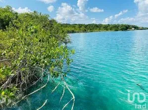 NEX-230985 - Terreno en Venta en Bacalar, CP 77930, Quintana Roo.