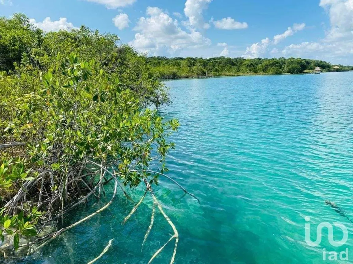 Terreno en Venta en Bacalar, Bacalar, Quintana Roo | NEX-230986 | iad México | Foto 3 de 4