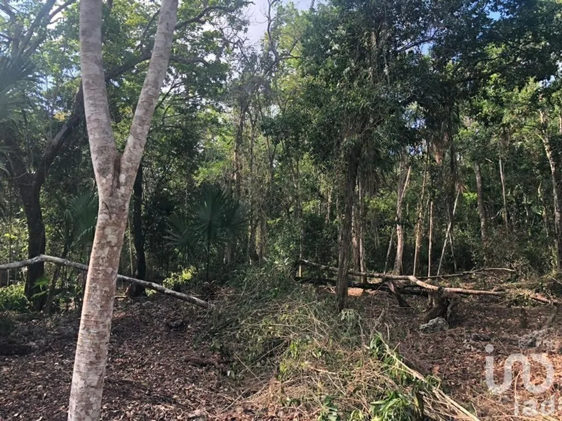 Terreno en Venta en Puerto Morelos, Puerto Morelos, Quintana Roo | NEX-230988 | iad México | Foto 1 de 12