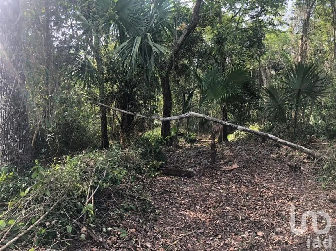 Terreno en Venta en Puerto Morelos, Puerto Morelos, Quintana Roo | NEX-230989 | iad México | Foto 1 de 12