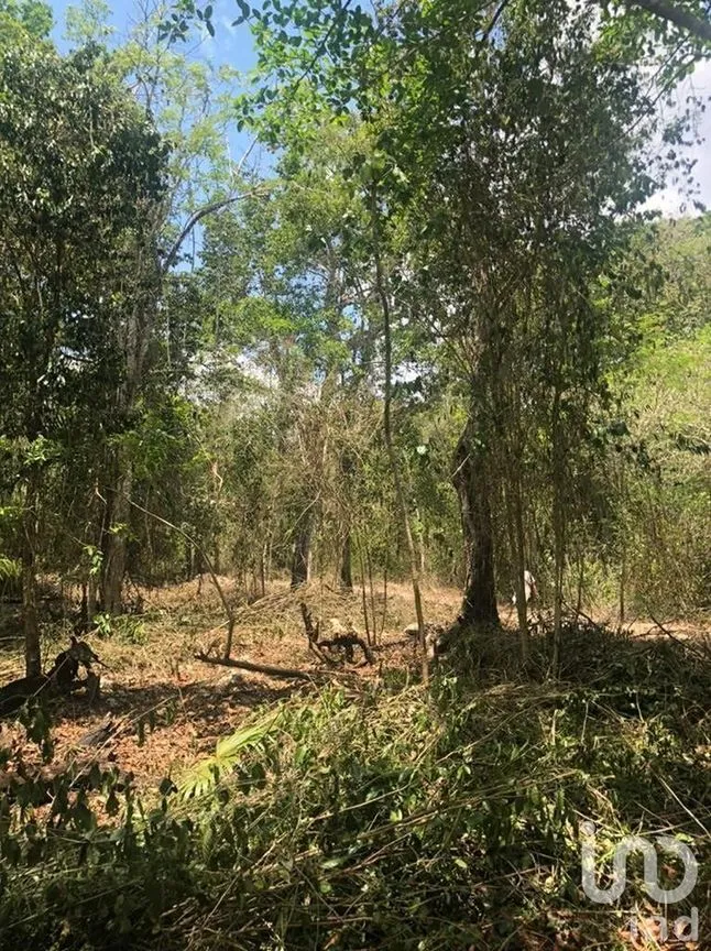 Terreno en Venta en Puerto Morelos, Puerto Morelos, Quintana Roo | NEX-230992 | iad México | Foto 2 de 12