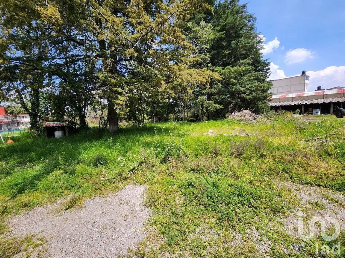 Terreno en Venta en Ocho Cedros, Toluca, Estado De México | NEX-230994 | iad México | Foto 12 de 21