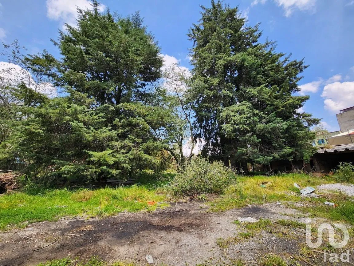 Terreno en Venta en Ocho Cedros, Toluca, Estado De México | NEX-230994 | iad México | Foto 15 de 21