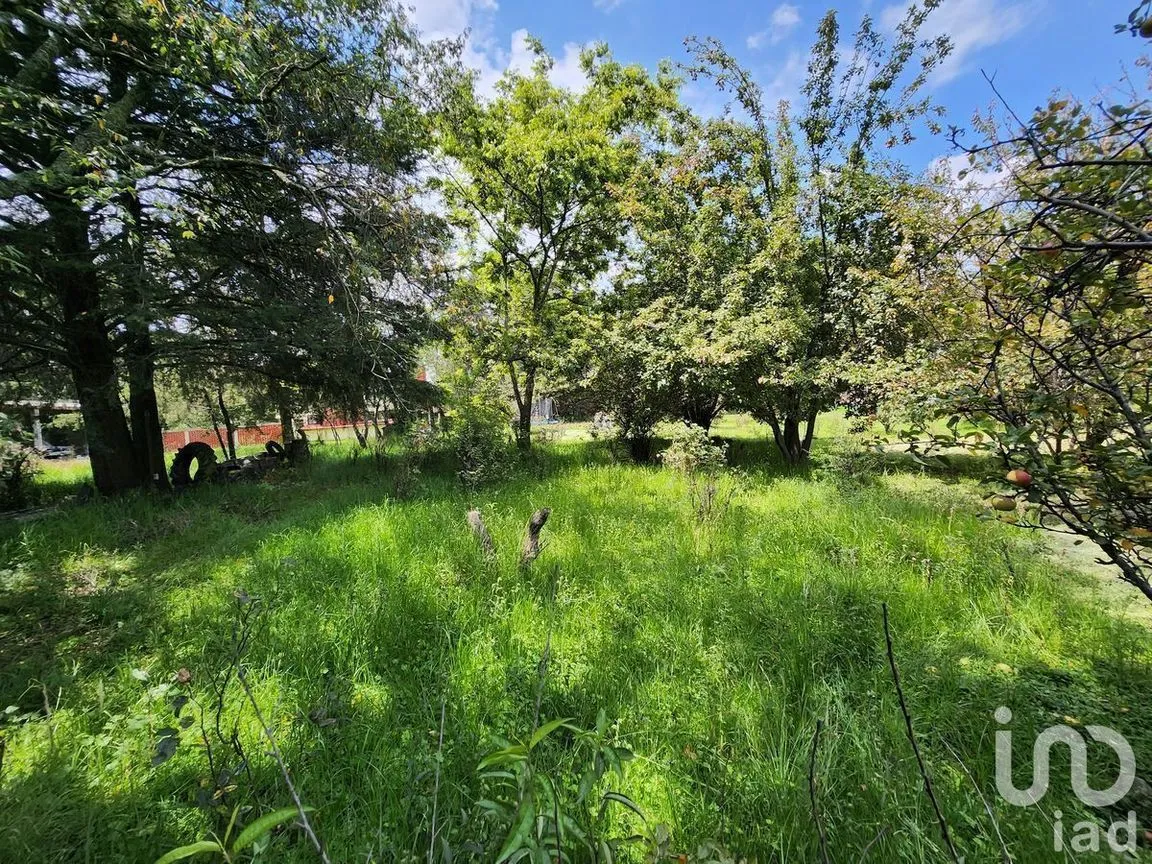Terreno en Venta en Ocho Cedros, Toluca, Estado De México | NEX-230994 | iad México | Foto 18 de 21
