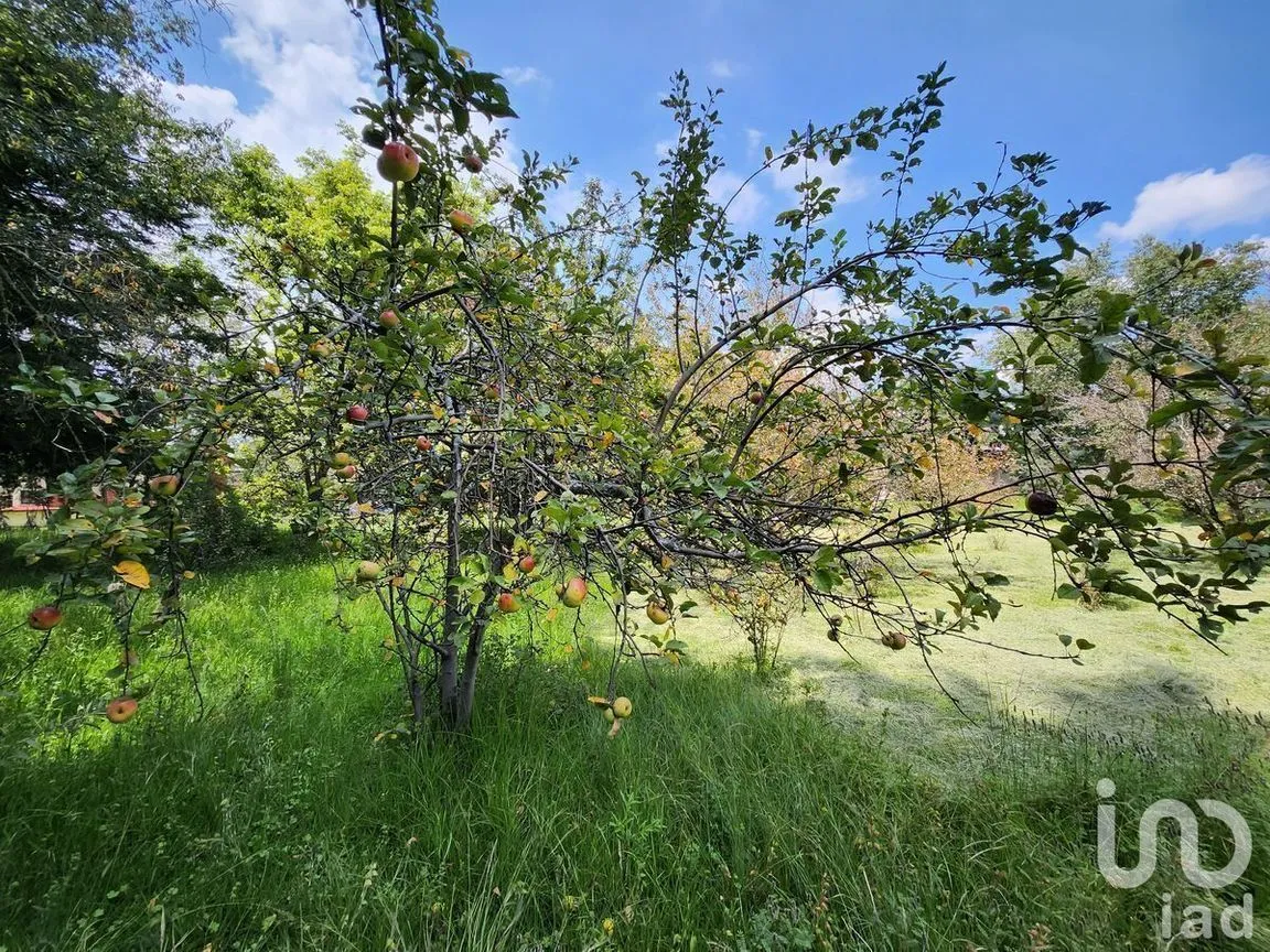 Terreno en Venta en Ocho Cedros, Toluca, Estado De México | NEX-230994 | iad México | Foto 20 de 21