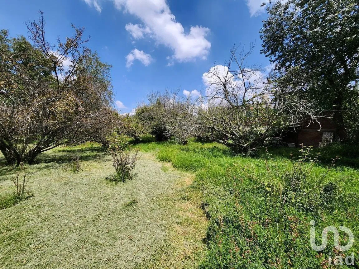 Terreno en Venta en Ocho Cedros, Toluca, Estado De México | NEX-230994 | iad México | Foto 21 de 21