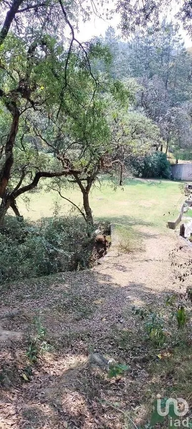 Terreno en Venta en Santa Cruz Ayotuxco, Huixquilucan, Estado De México | NEX-230996 | iad México | Foto 2 de 7