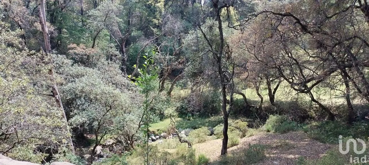 Terreno en Venta en Santa Cruz Ayotuxco, Huixquilucan, Estado De México | NEX-230996 | iad México | Foto 3 de 7