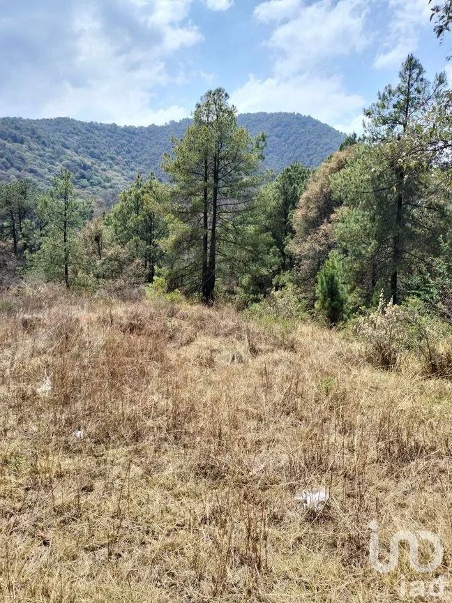 Terreno en Venta en Santa Cruz Ayotuxco, Huixquilucan, Estado De México | NEX-230996 | iad México | Foto 5 de 7