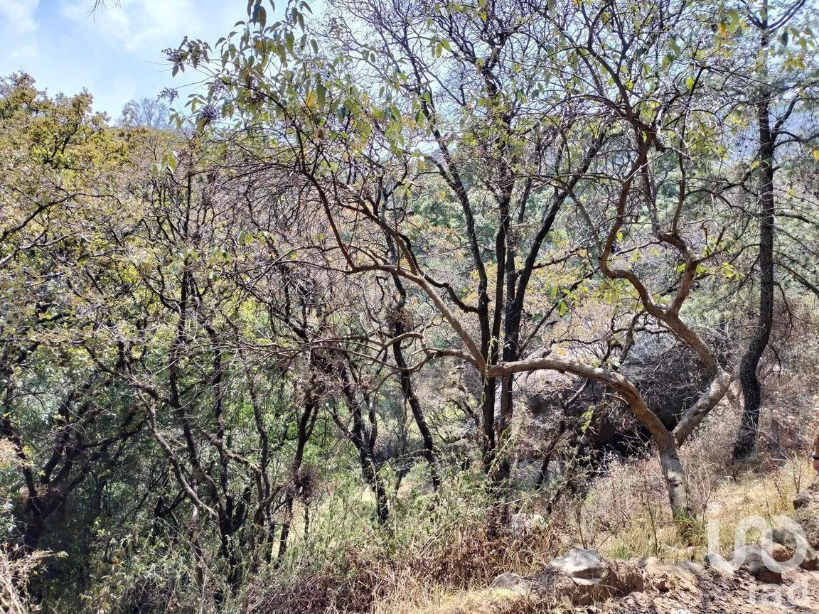 Terreno en Venta en Santa Cruz Ayotuxco, Huixquilucan, Estado De México | NEX-230996 | iad México | Foto 6 de 7