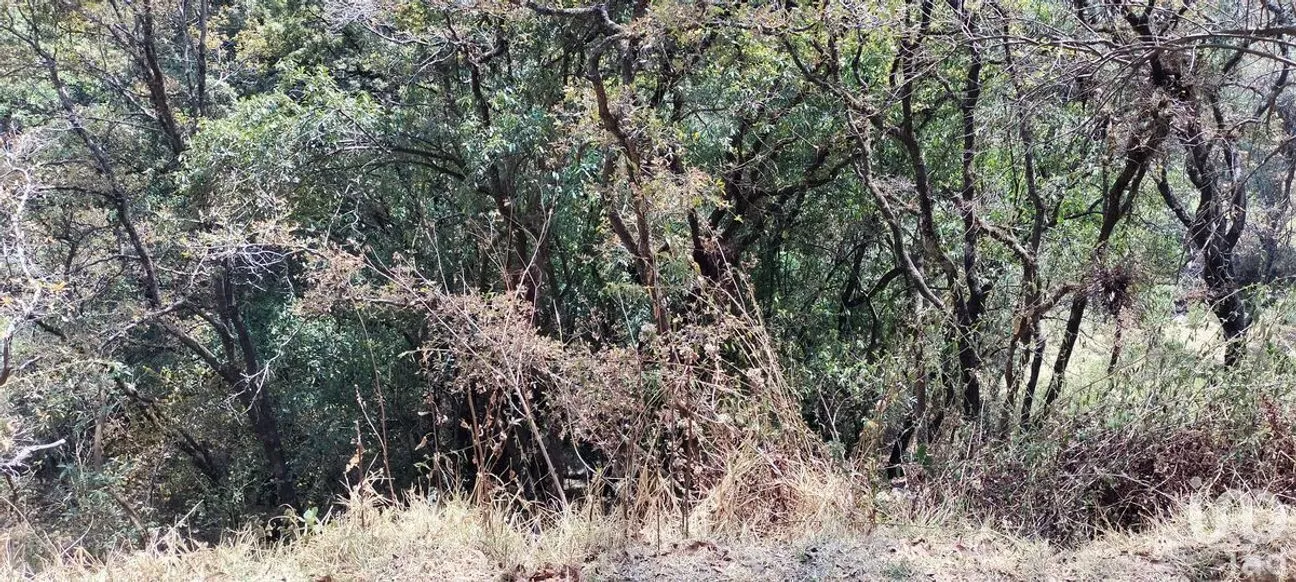 Terreno en Venta en Santa Cruz Ayotuxco, Huixquilucan, Estado De México | NEX-230996 | iad México | Foto 7 de 7