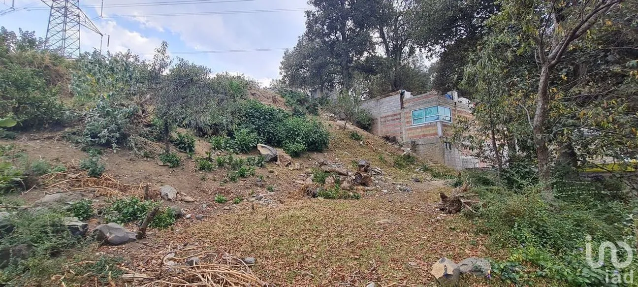 Terreno en Venta en San Miguel Topilejo, Tlalpan, Ciudad de México | NEX-231007 | iad México | Foto 10 de 10