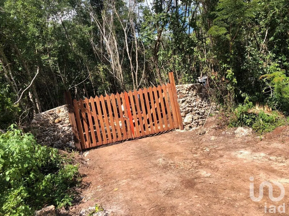 Terreno en Venta en Leona Vicario, Puerto Morelos, Quintana Roo | NEX-231019 | iad México | Foto 3 de 9
