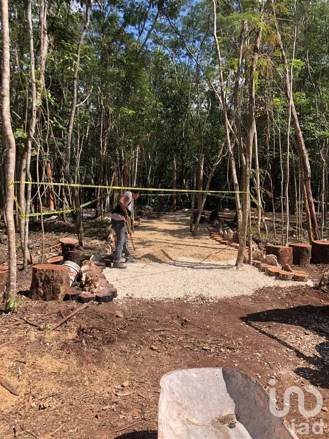 Terreno en Venta en Leona Vicario, Puerto Morelos, Quintana Roo | NEX-231019 | iad México | Foto 5 de 9