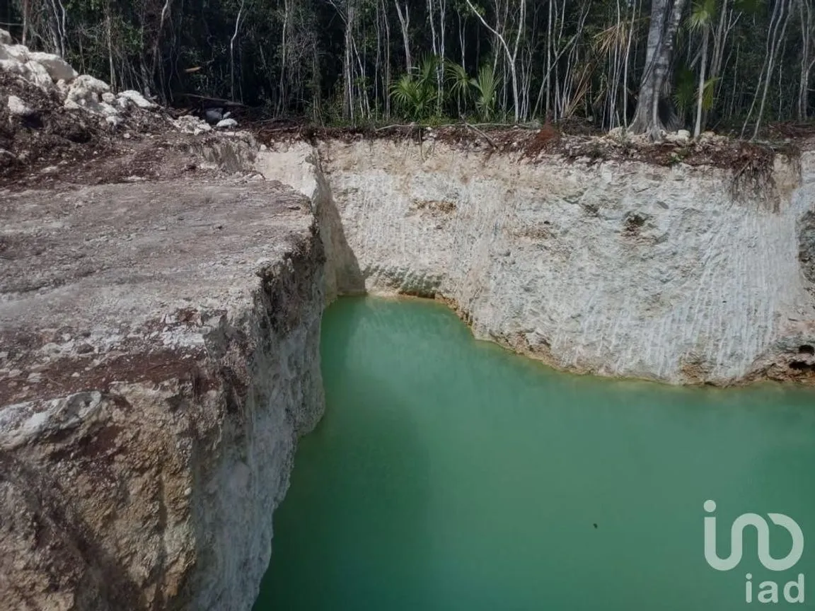 Terreno en Venta en Puerto Morelos, Puerto Morelos, Quintana Roo | NEX-231020 | iad México | Foto 12 de 14