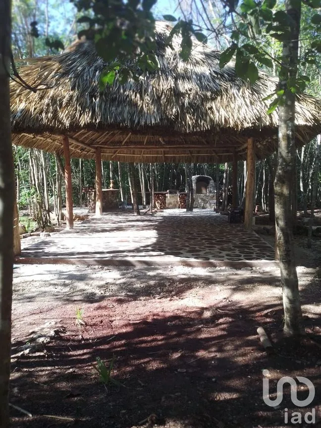 Terreno en Venta en Puerto Morelos, Puerto Morelos, Quintana Roo | NEX-231020 | iad México | Foto 9 de 14