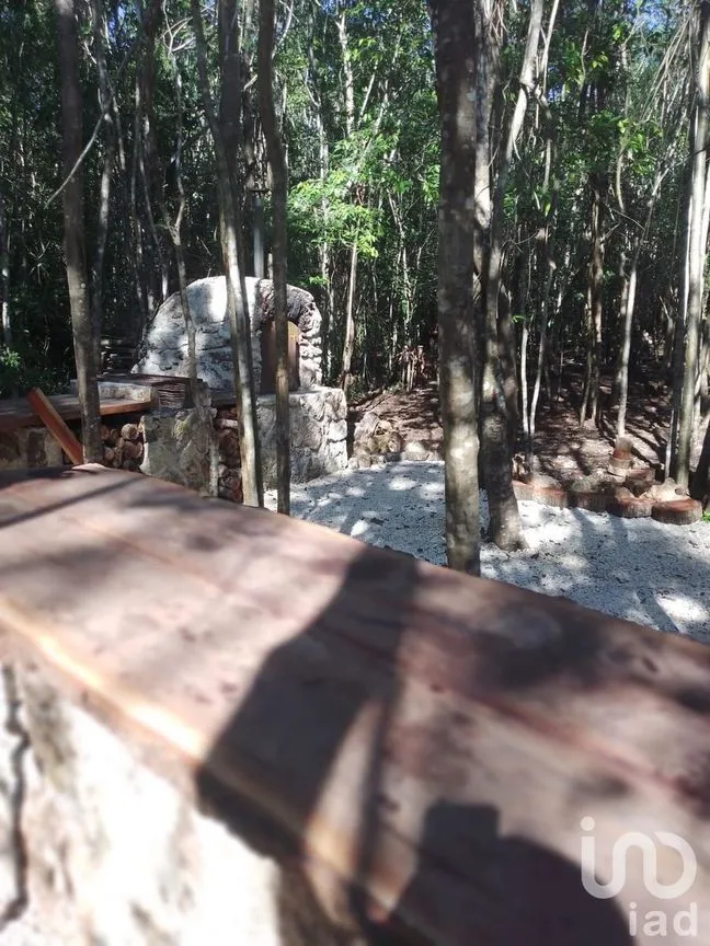 Terreno en Venta en Puerto Morelos, Puerto Morelos, Quintana Roo | NEX-231020 | iad México | Foto 10 de 14