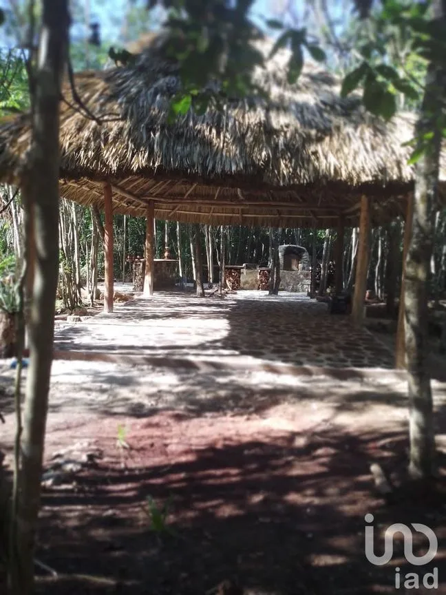 Terreno en Venta en Puerto Morelos, Puerto Morelos, Quintana Roo | NEX-231021 | iad México | Foto 2 de 5