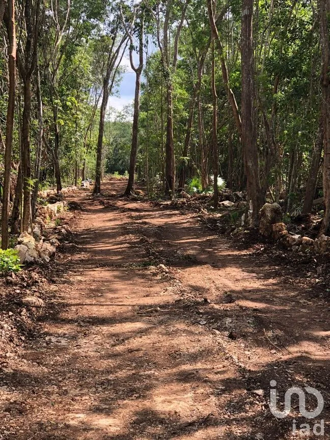 Terreno en Venta en Puerto Morelos, Puerto Morelos, Quintana Roo | NEX-231021 | iad México | Foto 3 de 5