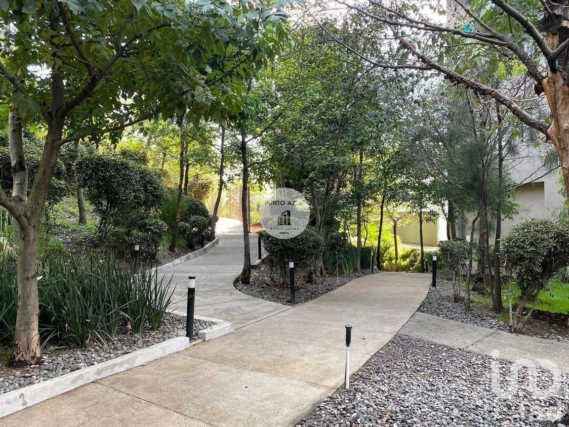 Departamento en Venta en San José del Olivar, Álvaro Obregón, Ciudad de México | NEX-231546 | iad México | Foto 31 de 46